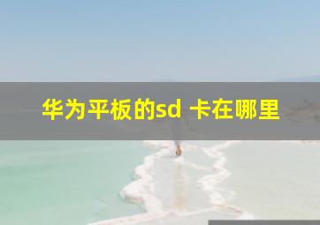 华为平板的sd 卡在哪里